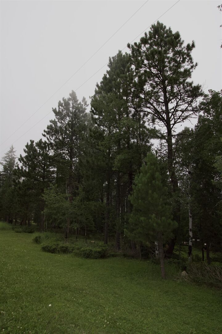 Property Photo: 12052 Little Elk Road SD 57732