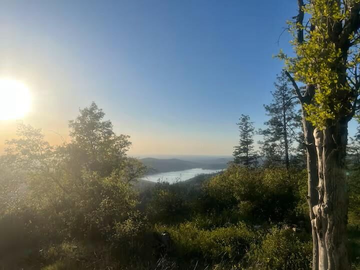 Property Photo: 9051 Regent Way CA 95962