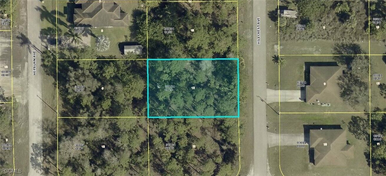 Property Photo: 920 Hillcrest Avenue FL 33974