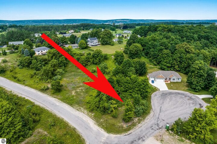 Property Photo:  E Blossom Lane  MI 49682 