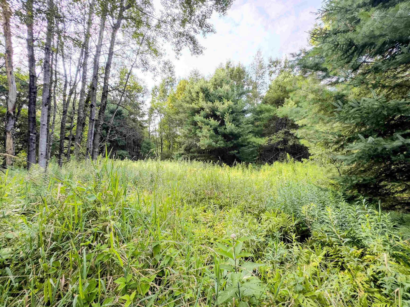 Property Photo:  00 Woodsville Road  NH 03771 