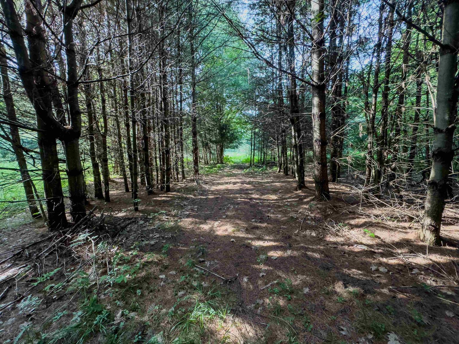 Property Photo: 00 Woodsville Road NH 03771