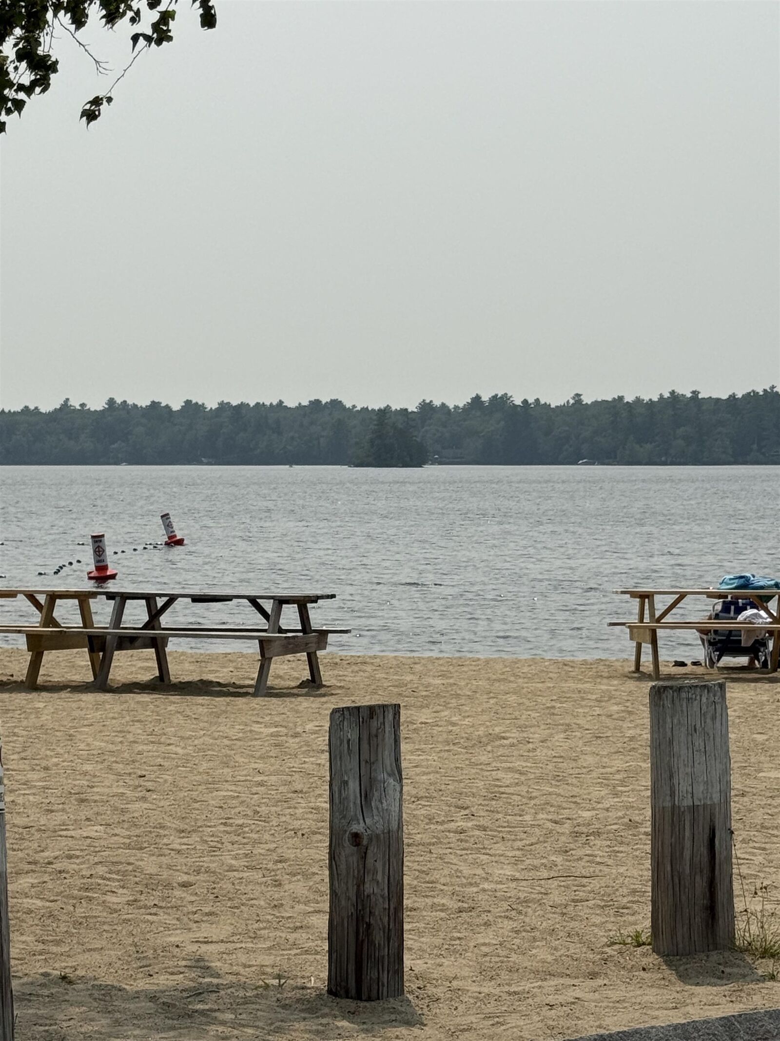 Property Photo:  37 Mayflower Lane  NH 03254 