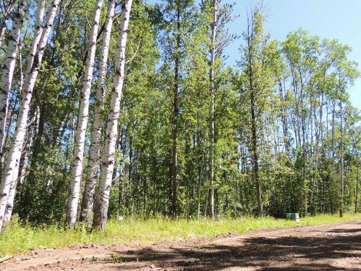Lot #20 Wapiti River SW-21-69-10-W6 — photo 1