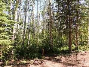 Property Photo: Lot #10 Wapiti River SW-21-69-10-W6 AB T0H 1J0