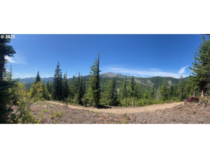 Property Photo:  Skamania Mines Rd 2540  WA 98671 