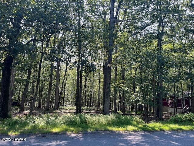 Property Photo: 163 Butternut Road PA 18337