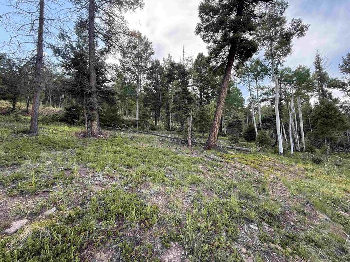 Property Photo: Lot 106 Zia Rd NM 87710