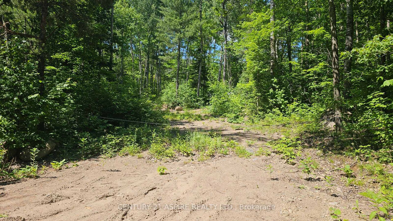Photo de la propriété:  11072 Opeongo Road  ON K0J 1B0 
