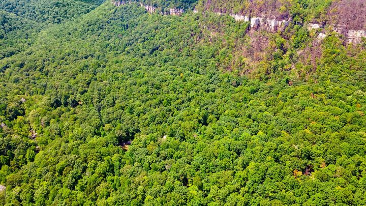 Property Photo: 1 Woodcock Rd TN 37327