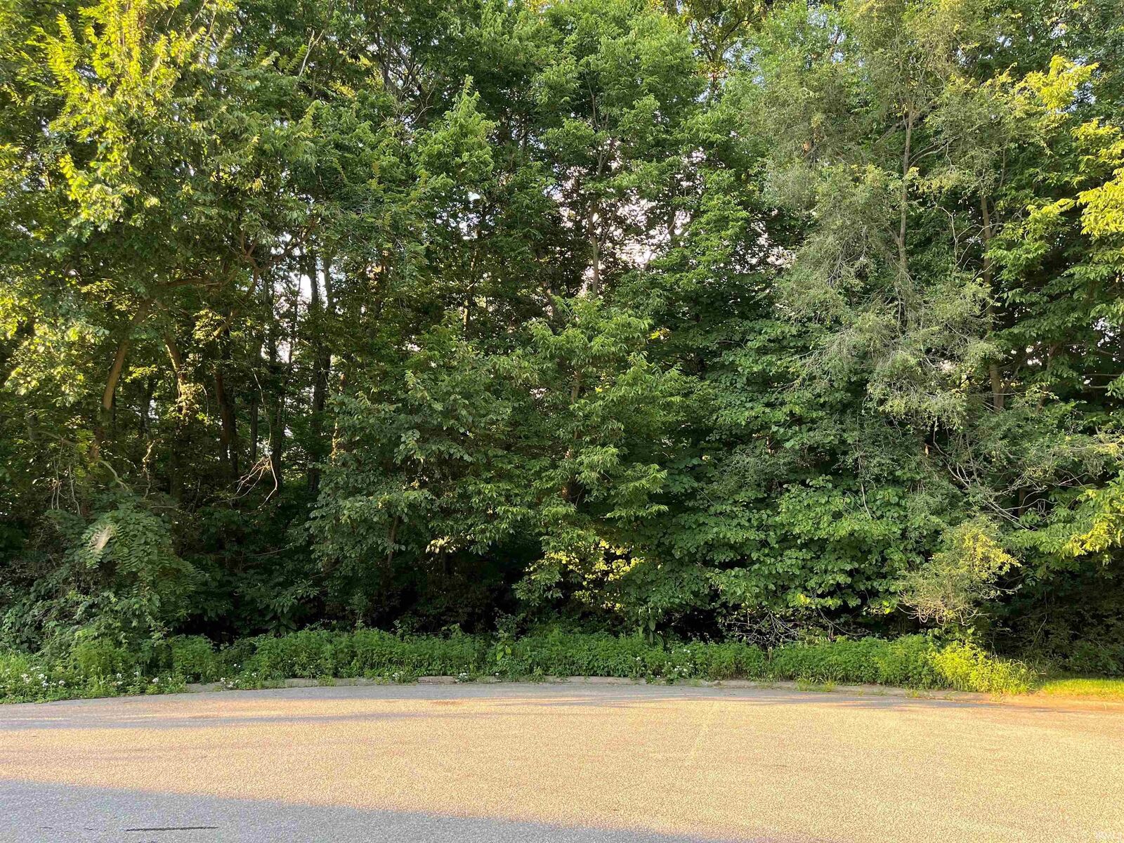 Property Photo: Lot 34 Auburn Estates IN 46516