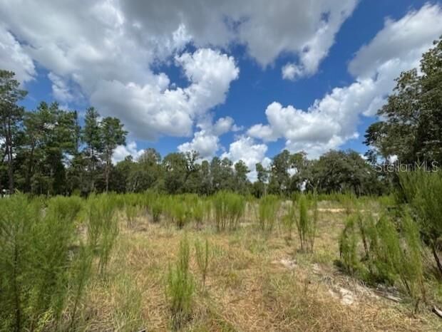 Property Photo:  Tbd SW 109 Loop  FL 34476 
