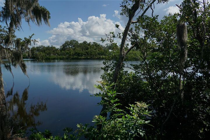 Property Photo: Tiberius Trail FL 34652