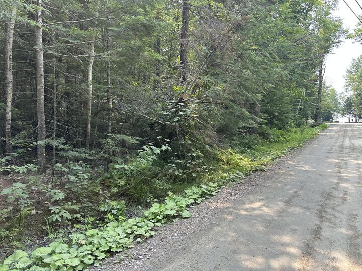Property Photo: Lot 37 Cottage Shore Drive ME 04429
