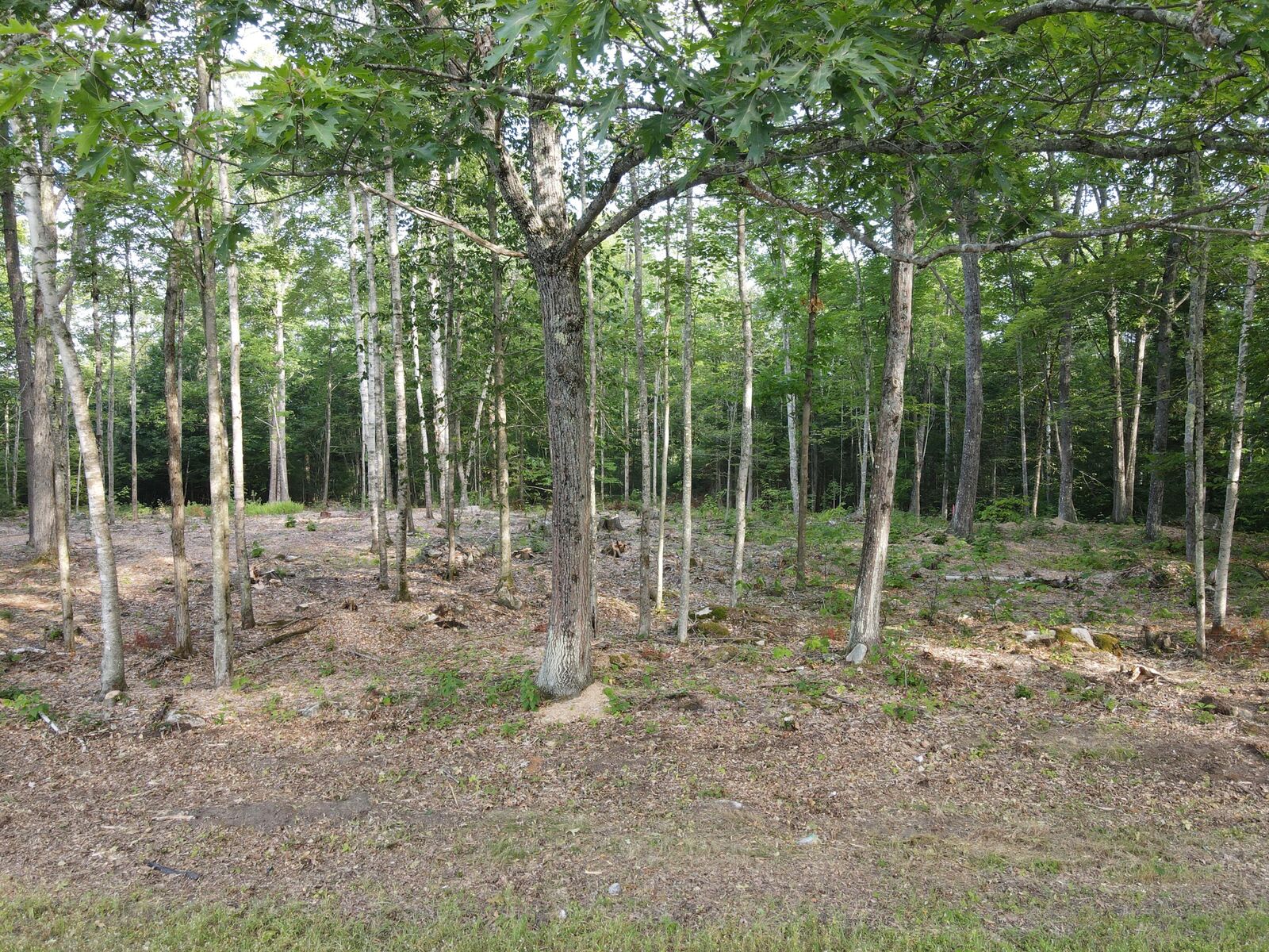 Property Photo: Lot 4 Oak Pond Road ME 04967