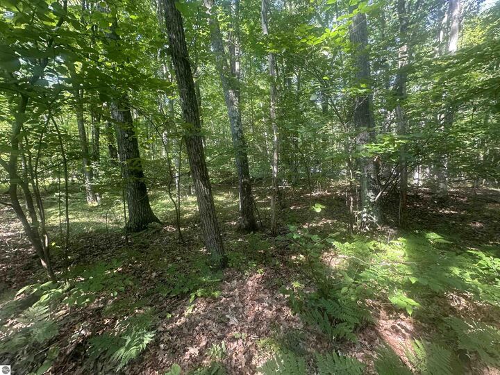 Property Photo:  Lot # 179 Mockingbird Circle  MI 48622 