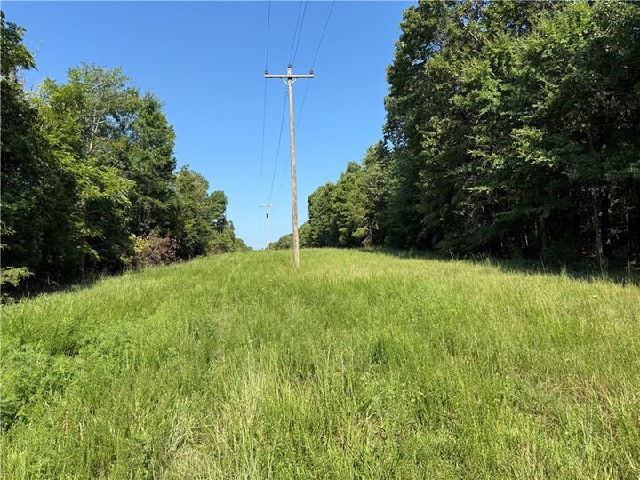 000 Tract C County Road 516  Berryville AR 72616 photo