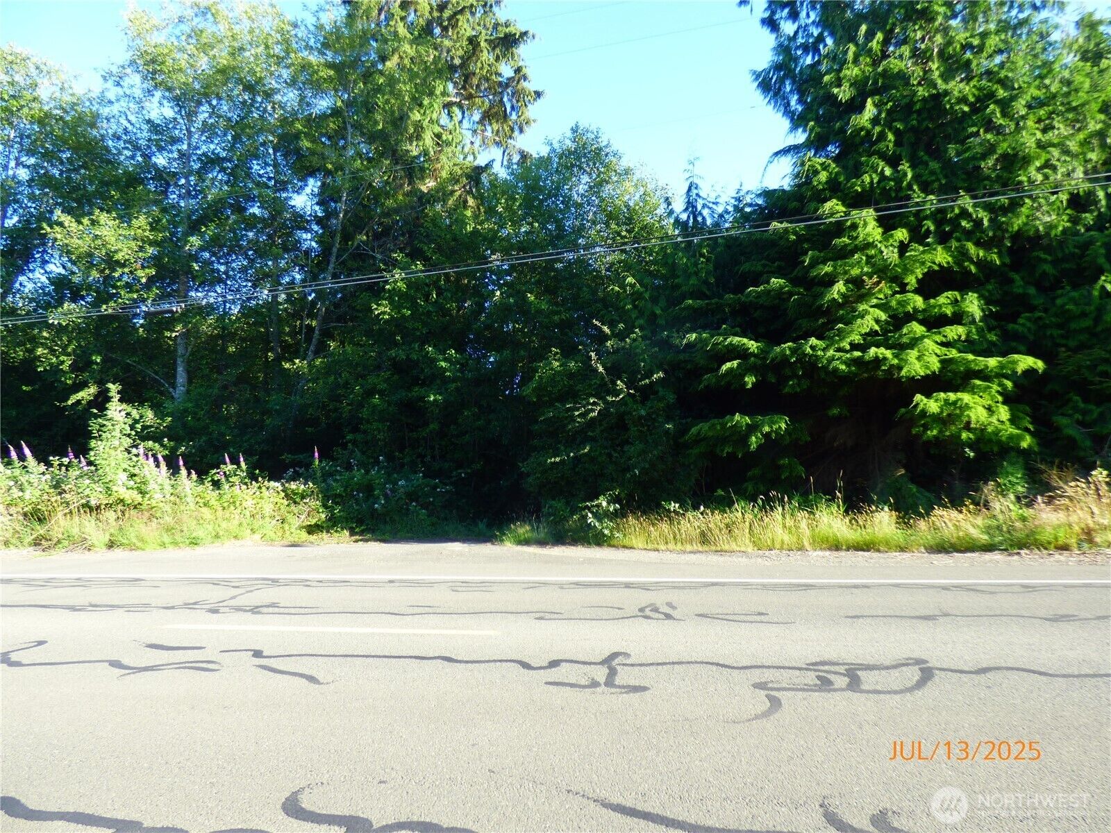 Property Photo: 0 Central Park Drive WA 98520