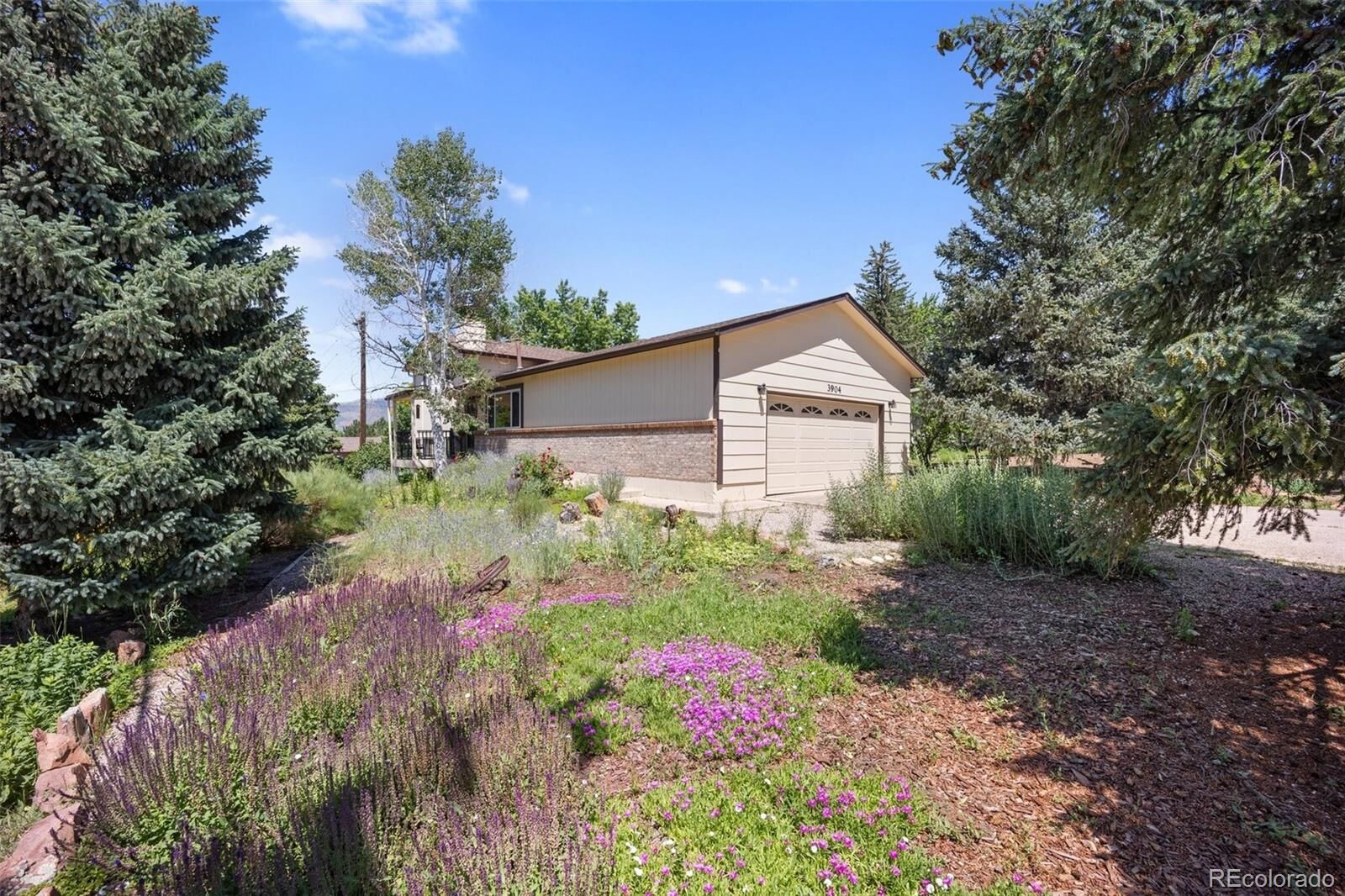 Property Photo:  3904 Jasmine Street  CO 80907 