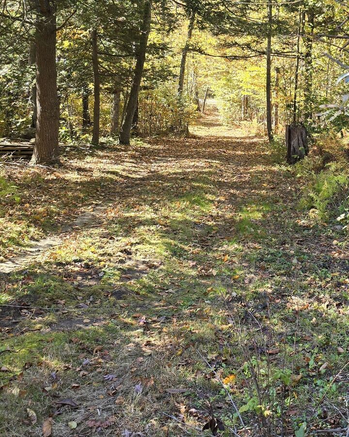 Property Photo:  0 Al Harvey Road  CT 06378 