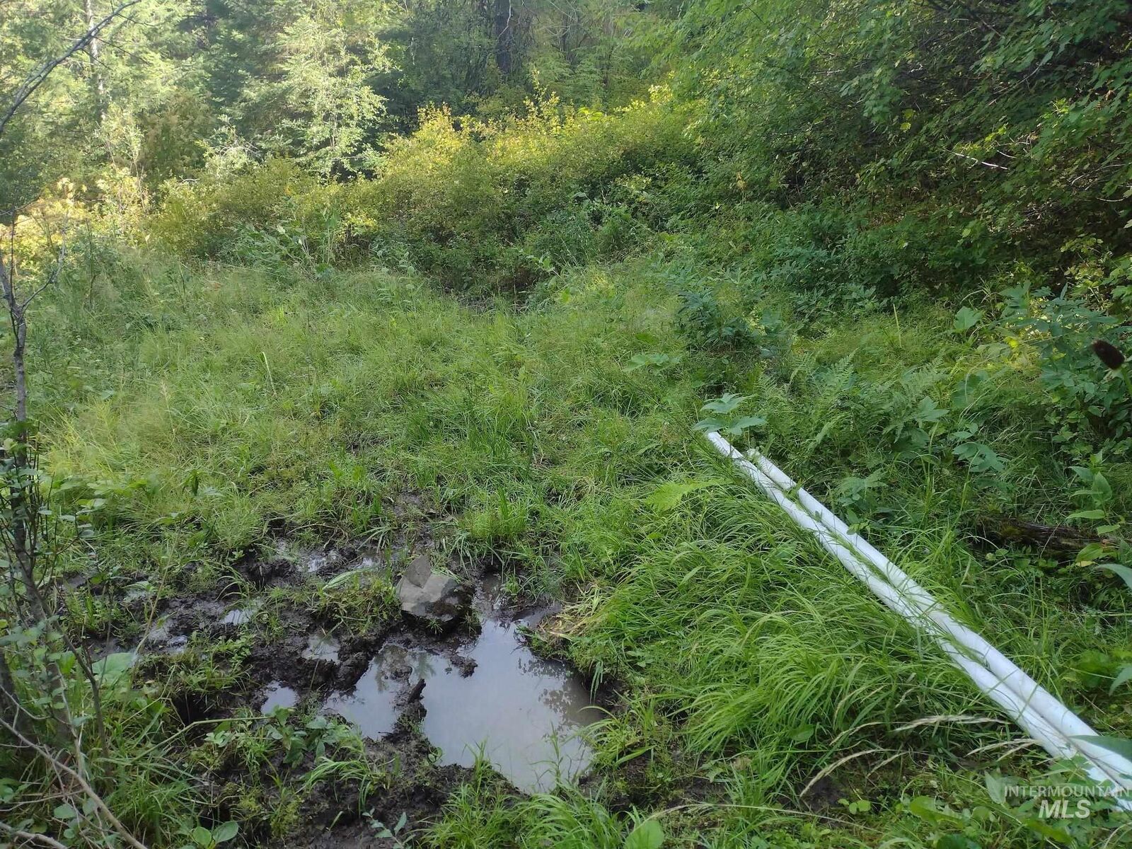 Property Photo:  480 Burnt Creek Rd.  ID 83522 