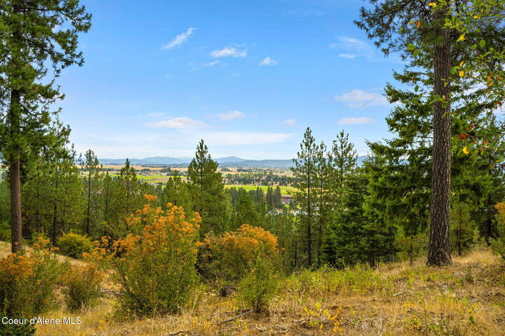 11470 N Church Rd  Rathdrum ID 83858 photo