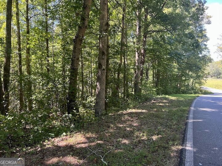 Property Photo:  0 Old Draketown Trail  GA 30179 