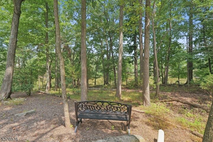 905 S Branch Dr  Readington Twp. NJ 08889 photo