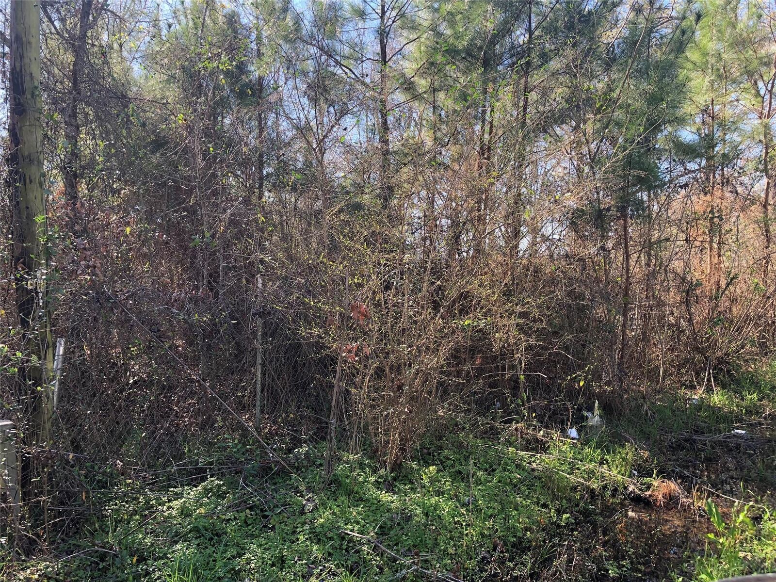Property Photo:  0 Piney Lane  TX 77331 