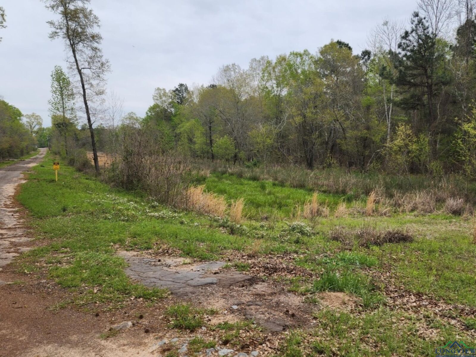 Property Photo:  Tbd Sh 149  TX 75603 