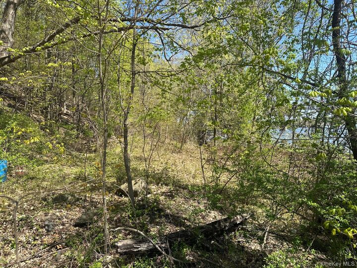 Property Photo: Haviland Road NY 12528