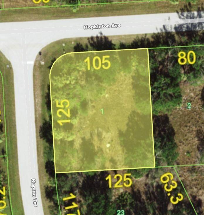 Property Photo:  13356 Kaplan Terrace  FL 33981 