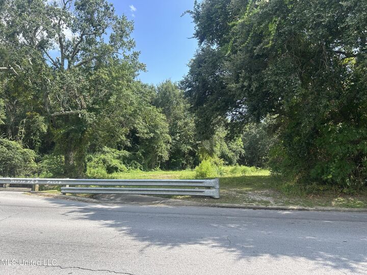 Property Photo:  0 Bartlett Avenue  MS 39567 