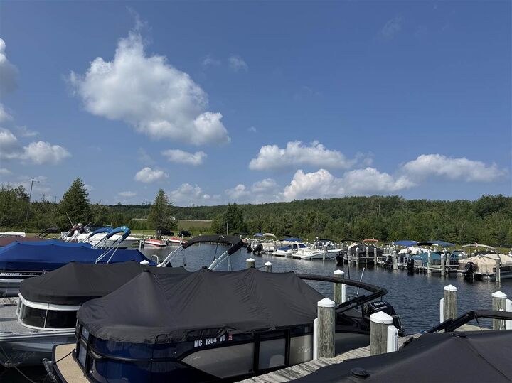 3563 Lake Marina Lot 117  Indian River MI 49749 photo