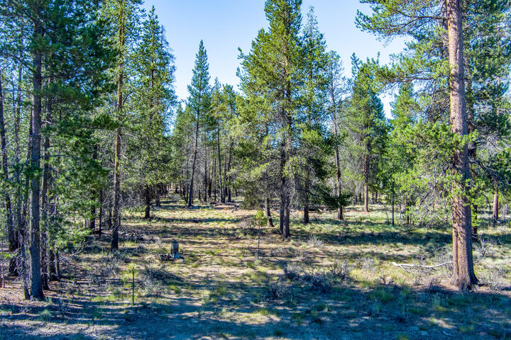 Property Photo:  Tl 8700 Alderwood  OR 97739 