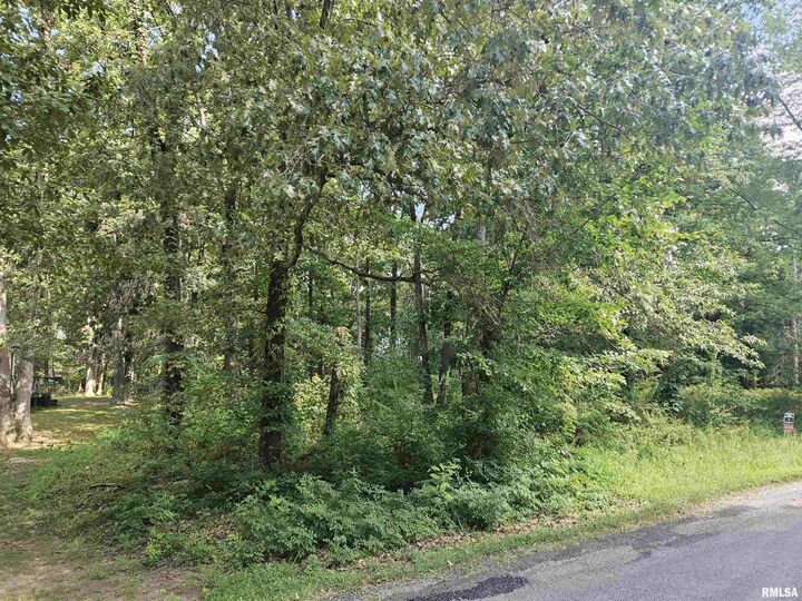 0000 White Birch Court  Benton IL 62812 photo