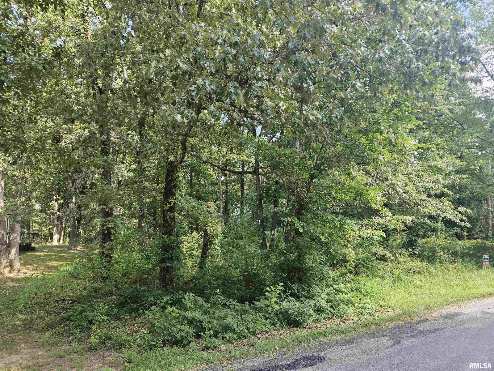 Property Photo:  0000 White Birch Court  IL 62812 