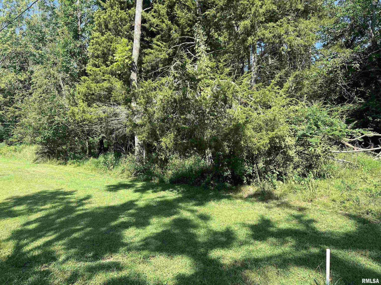Property Photo: 000 Thebes Way IL 62922