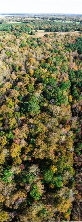 Property Photo:  42-14 Chippokes Farm Rd  VA 23883