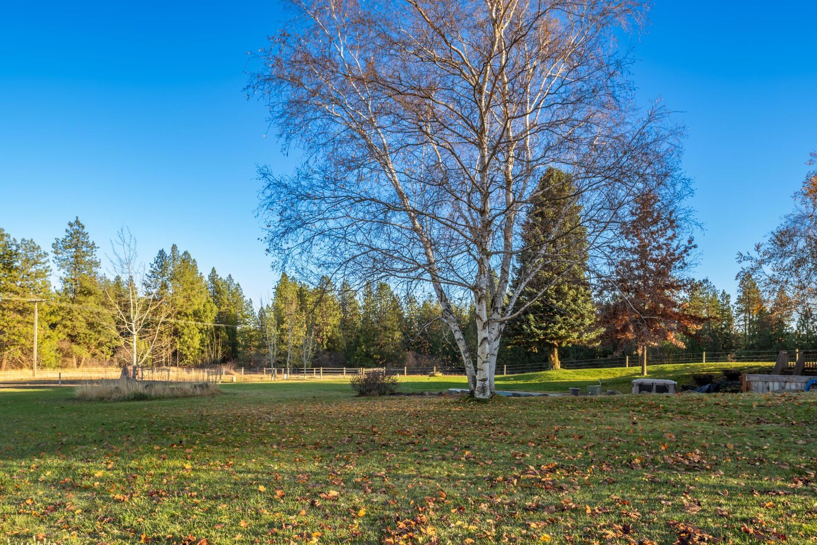 Property Photo:  10501 E Palouse Rd  WA 99036 