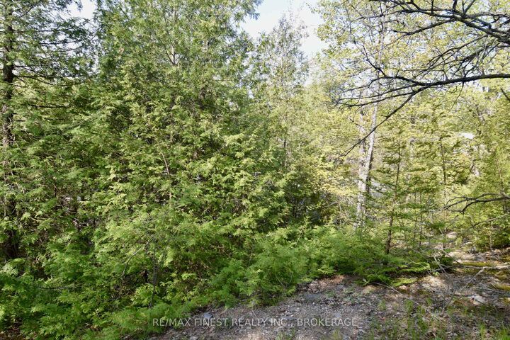 Property Photo:  20B Ballantra Drive  ON K0K 3G0 