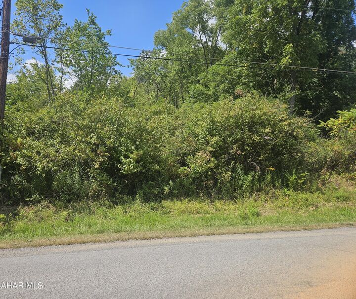Property Photo:  00 Kerbaugh Road Parcel # 54  PA 16686 