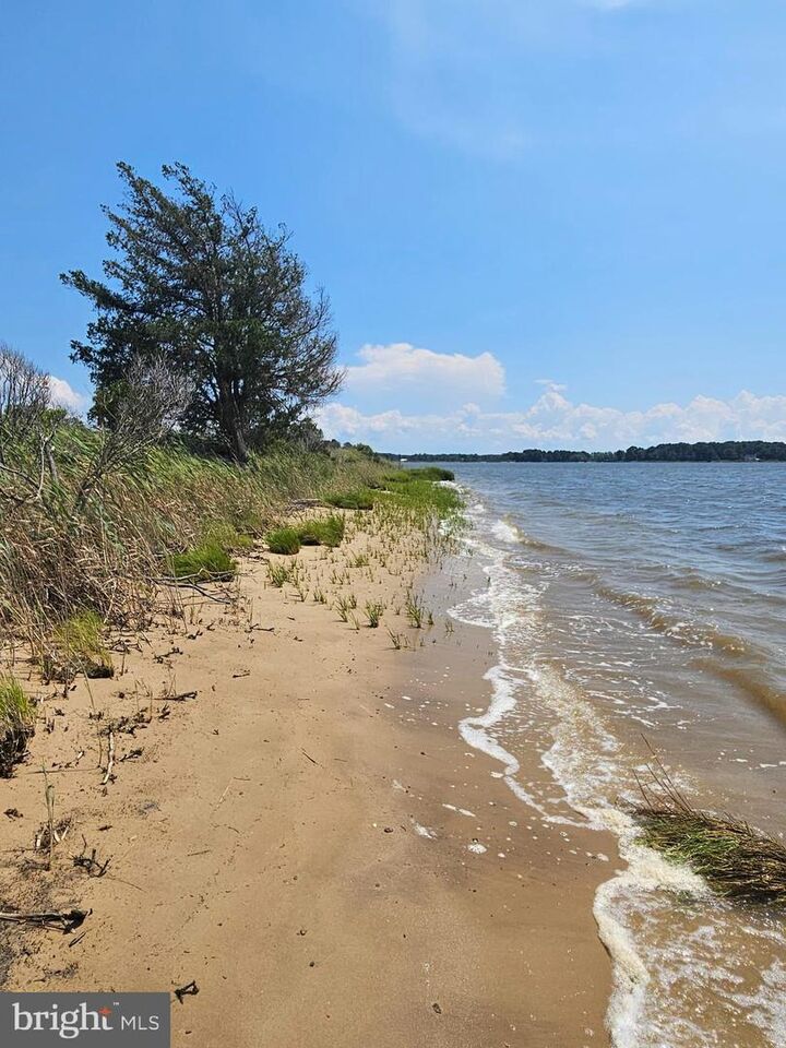 Property Photo:  0 Clara Road  MD 21865 