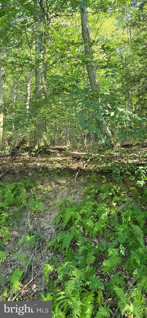 Property Photo:  0 Ridge Road  PA 17930 