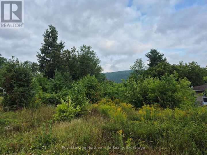 Property Photo:  560 New Street  ON P0H 1V0 