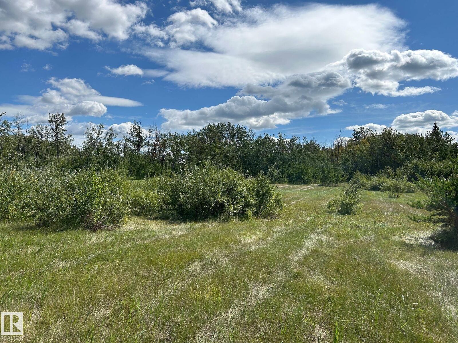 Property Photo:  208 Oak Street  AB T0A 1N6 