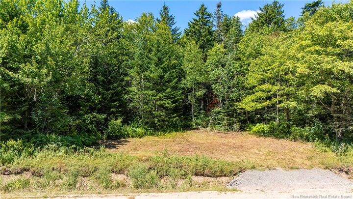 Woodlot Route 935 — photo 1