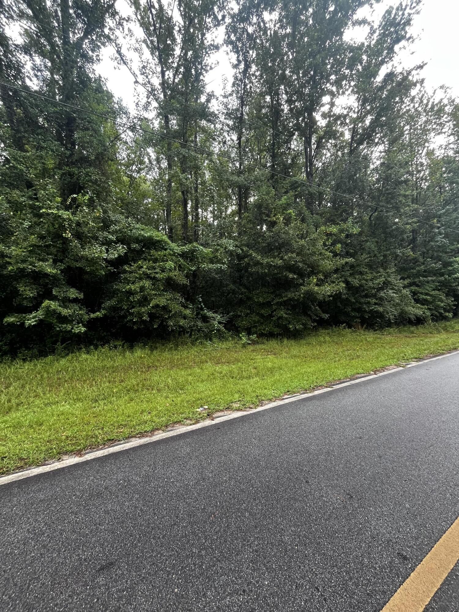 Property Photo: 0 SE Liberty Street GA 30824