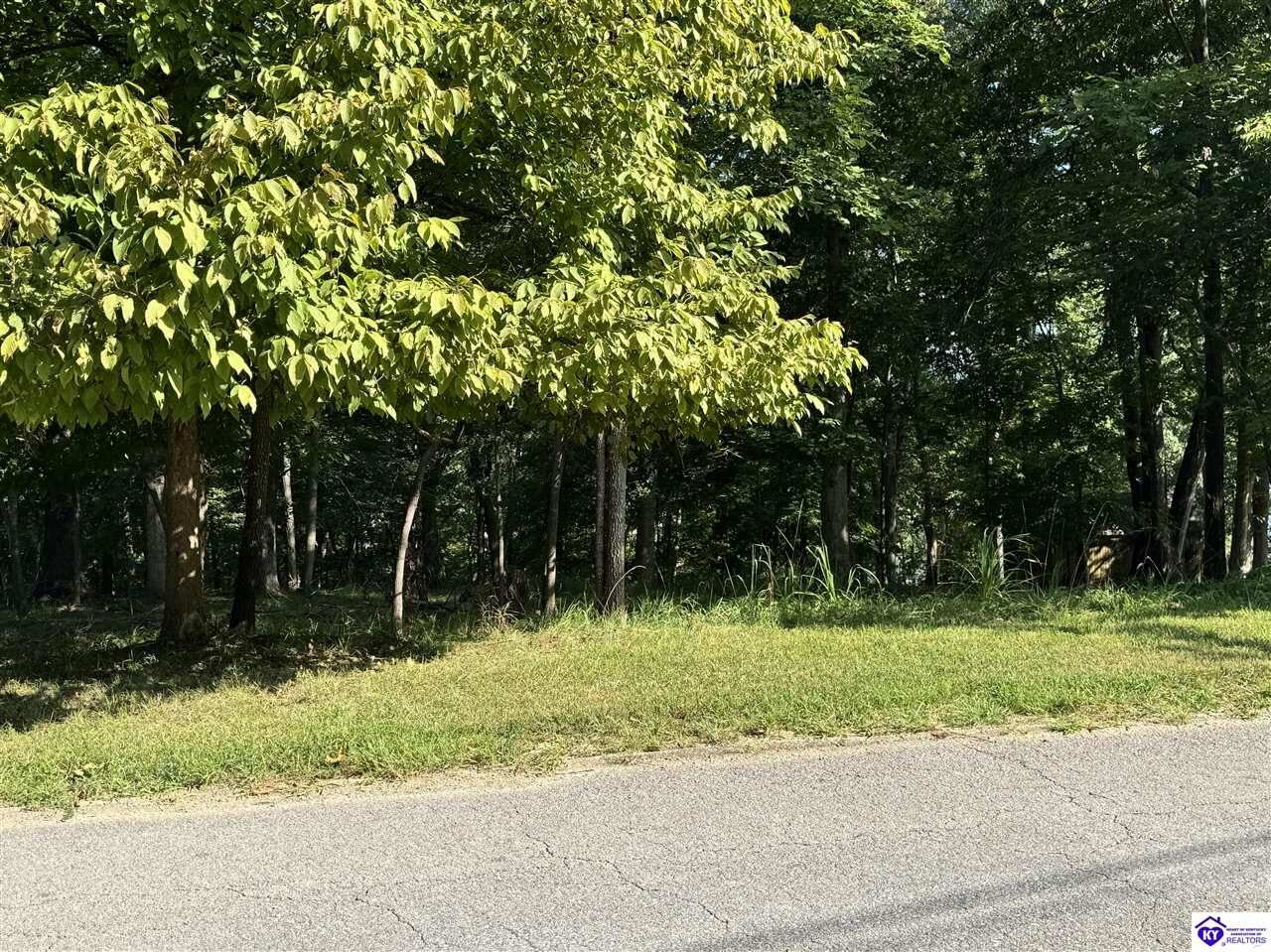 Property Photo: 62 Lakeshore Parkway KY 40108
