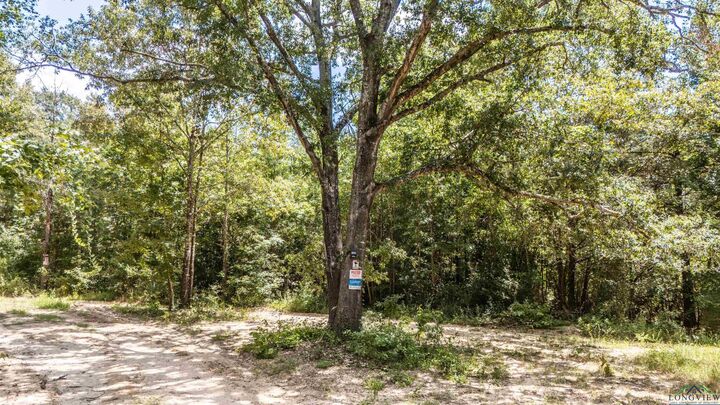 Property Photo:  Tbd Carmel Road  TX 75657 